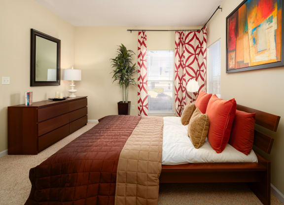 Large Bedrooms with Natural Lighting