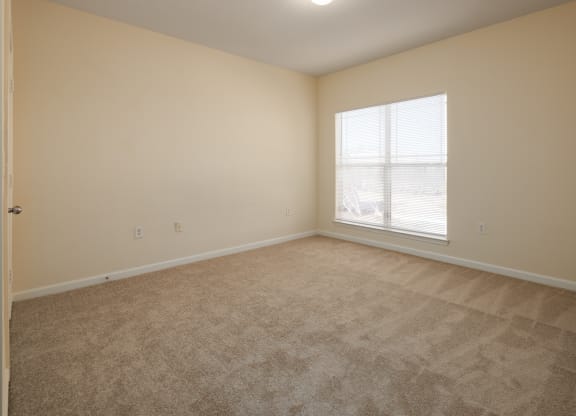 Large Bedroom