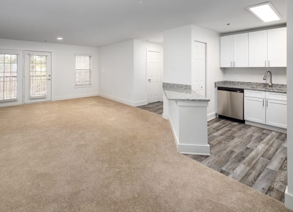 Kitchen and Living Room