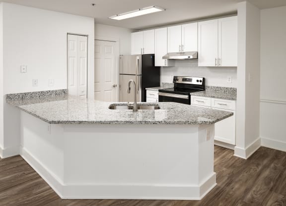 Renovated Kitchen
