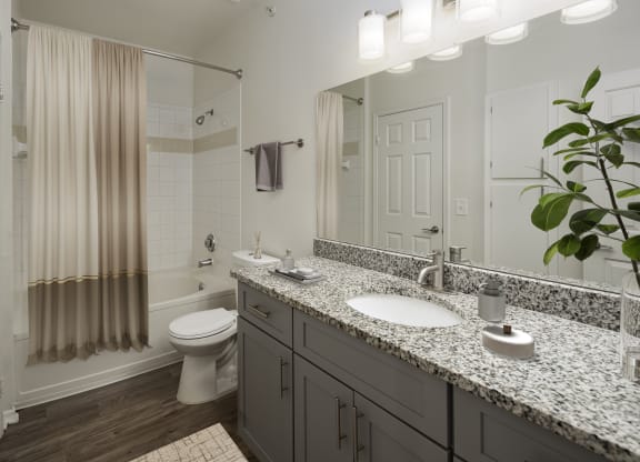 Renovated Apartment Homes