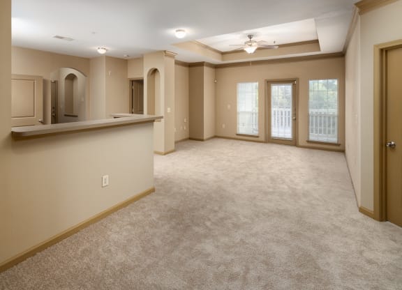 View From Your Future Dining Room