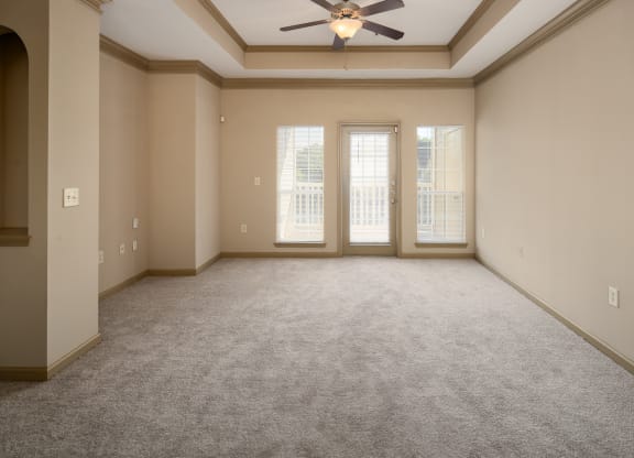 Living Rooms with Patio Access