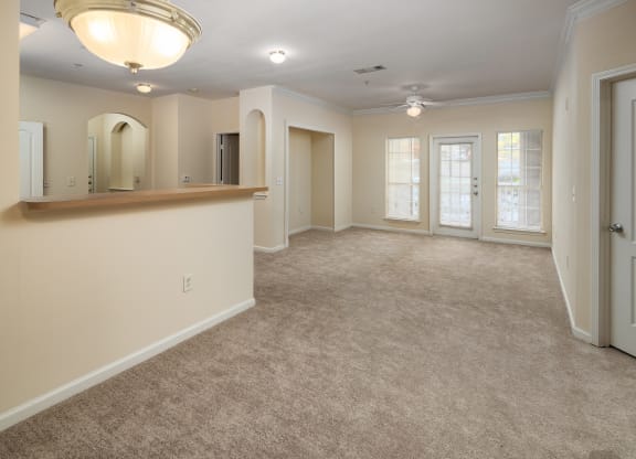 Open Concept Floorplan