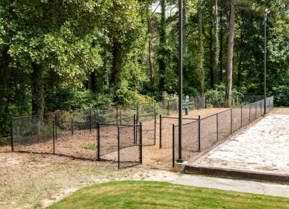 Dog Park