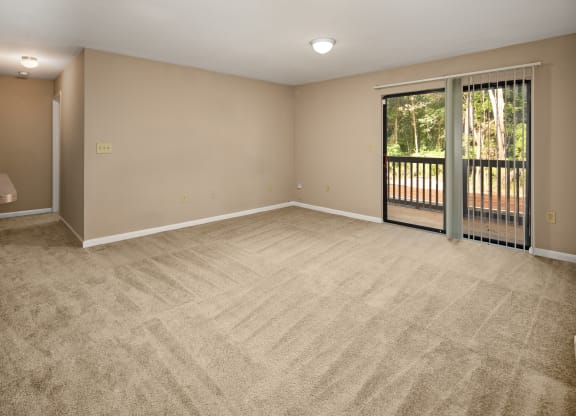 Living Rooms with Patio Access