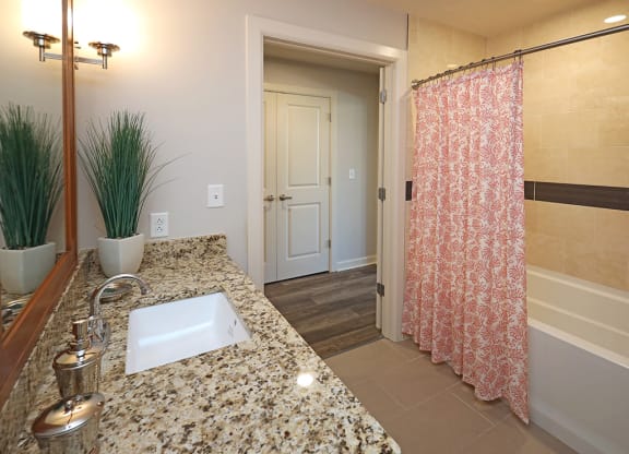 Updated Model Suite at Residences at 1717 Cleveland OH - Bathroom
