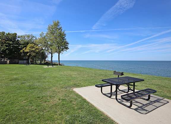 Picnic Area with Tables and Charcoal Grills in Water's Edge Apartments in Euclid OH