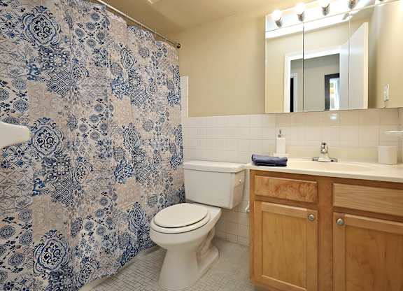 2 Bedroom 2 Bath Model Bathroom at Harbor Crest Apartments in Euclid OH