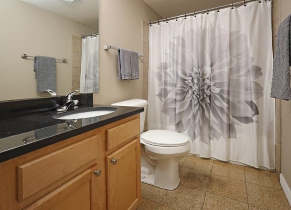 Model Suite Updated Master Bathroom - Stonebridge Waterfront in Flats District Cleveland OH