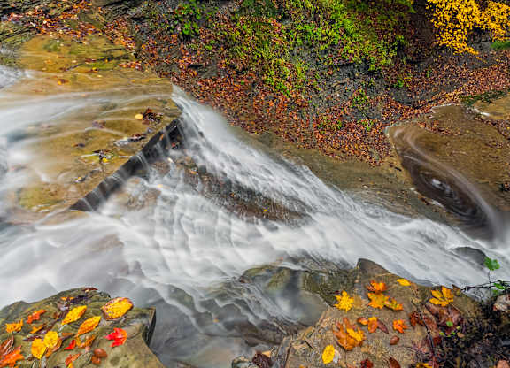 A stream flows over rocks covered in autumn leaves.