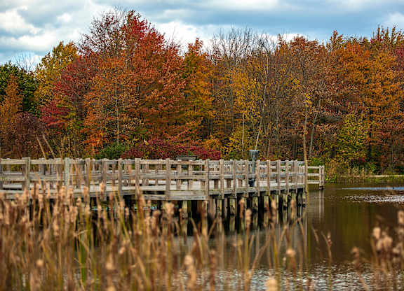 A wooden bridge over a body of water with autumn trees in the background.