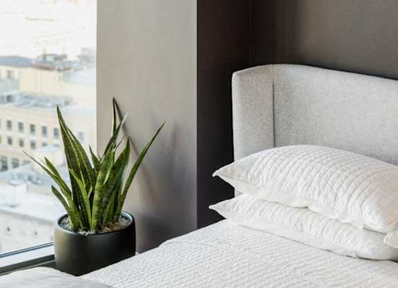 A bed with white pillows and a white bedspread sits next to a window with a potted plant on the windowsill.