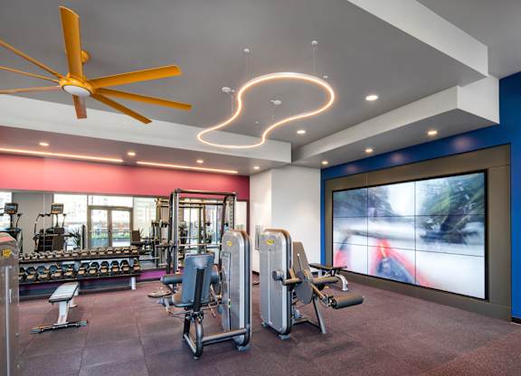 A gym with a variety of equipment including a treadmill, weights, and a bench press.