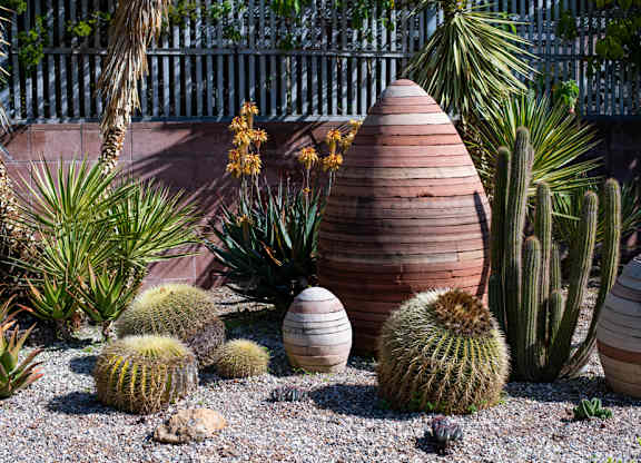 A garden with a variety of cacti and succulents.