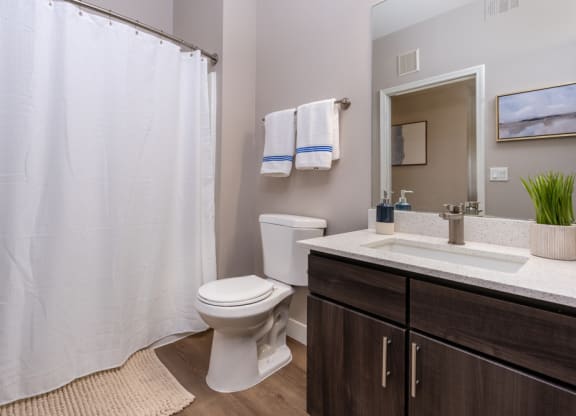 a bathroom with a toilet and a sink and a shower