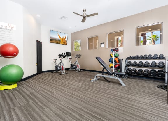 the gym at the flats at big tex apartments