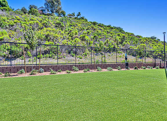 A green lawn with a hill covered in greenery in the background.
