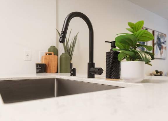 A kitchen sink with a black faucet and a potted plant on the counter.