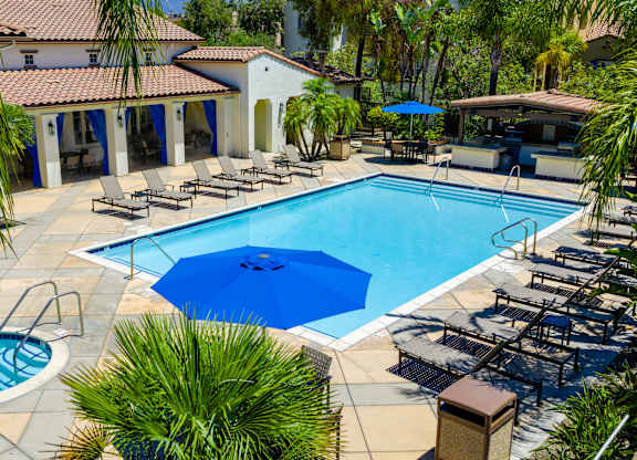 A pool surrounded by palm trees and sun loungers.