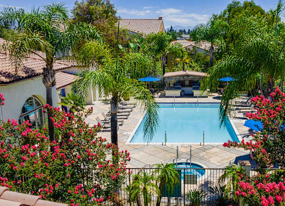 A pool surrounded by palm trees and flowers.