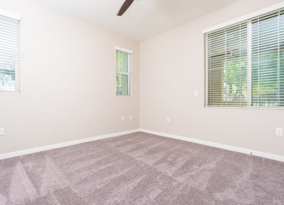 a bedroom with two windows and a carpeted floor