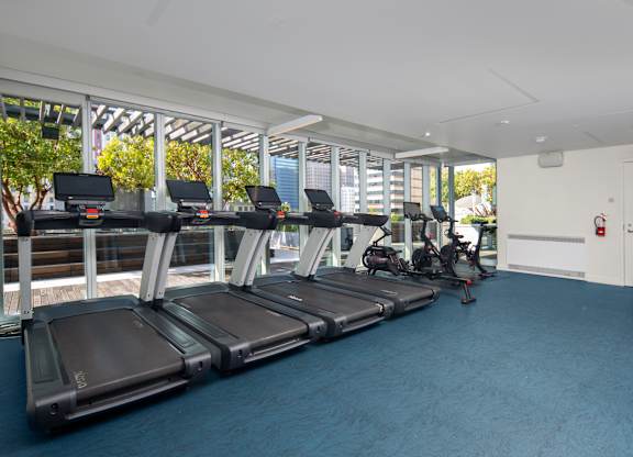 A gym with treadmills and exercise balls.
