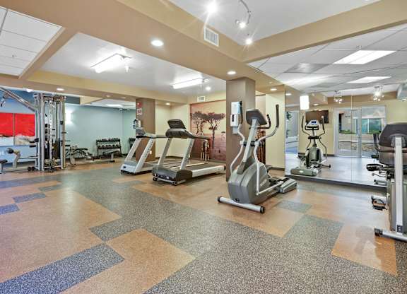 A gym with a variety of exercise equipment.at 6940 Sepulveda, Van Nuys California  