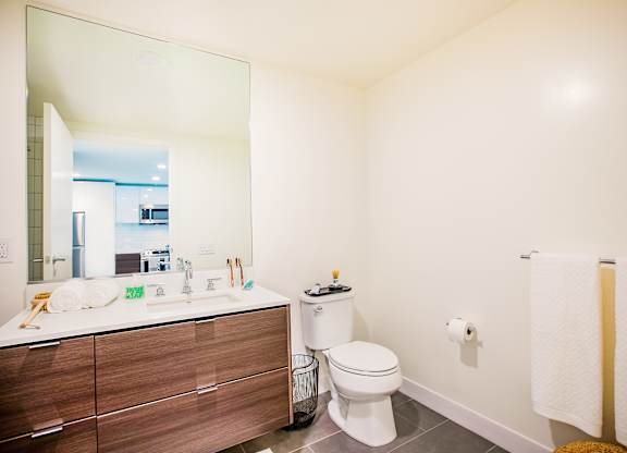 Luxurious Bathroom at The Rise, San Francisco, CA 94103  