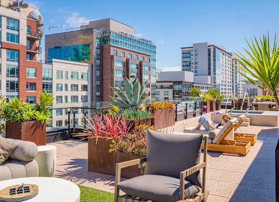 A patio with chairs and plants on a sunny day.