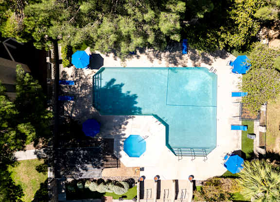 An aerial view of a pool surrounded by trees and lounge chairs.