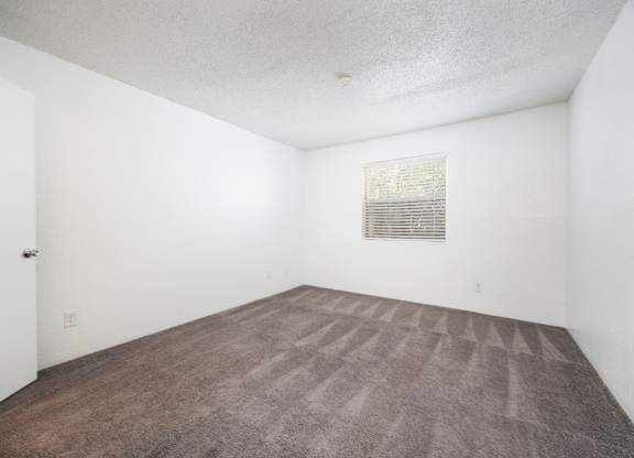 A room with a carpeted floor and a picture on the wall.