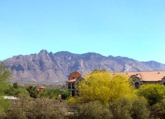 A house with a red roof is surrounded by green trees and bushes with a mountain in the background.