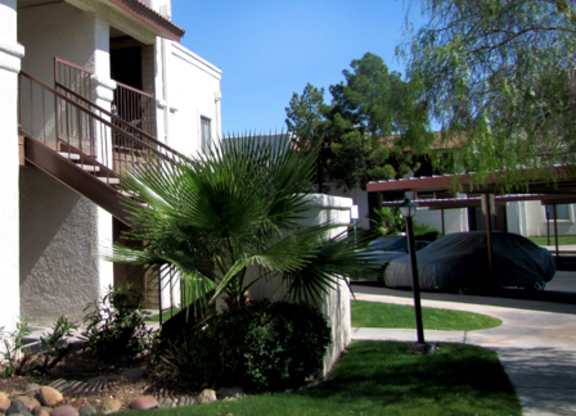 A white house with a balcony and a palm tree in front.