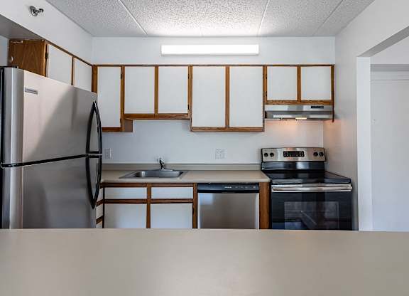 Standard Apartment -  Kitchen