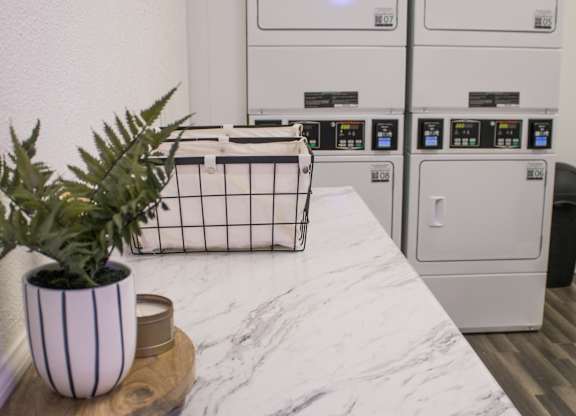 A potted plant sits on a marble countertop in front of a row of white appliances.