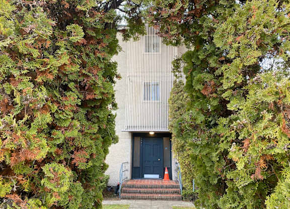 A building with a black door is surrounded by trees.