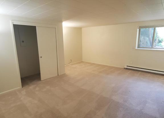 A room with a carpeted floor, a door, and a window.
