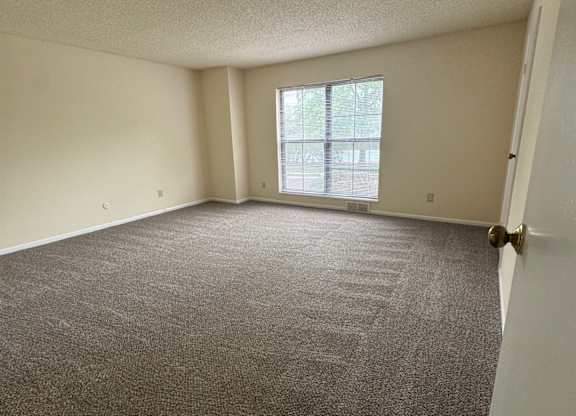 A room with a carpeted floor and a window.