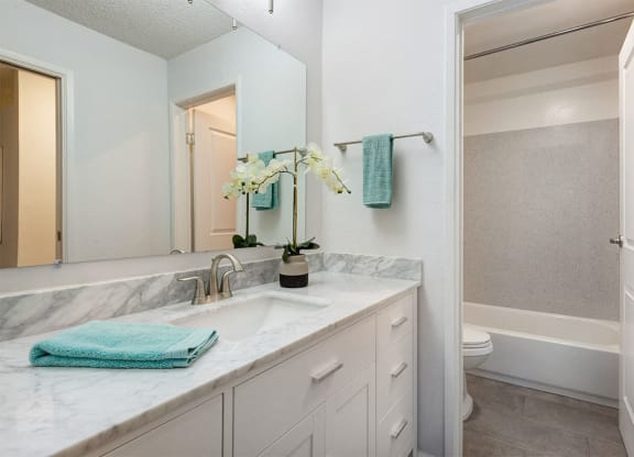 Designer Bathroom Suites with tub at Marine View Apartments, Alameda, CA, California