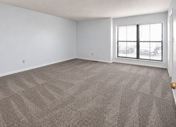 A room with a carpeted floor and a window showing a snowy landscape outside.