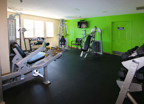 A gym with a green wall and a row of exercise machines.
