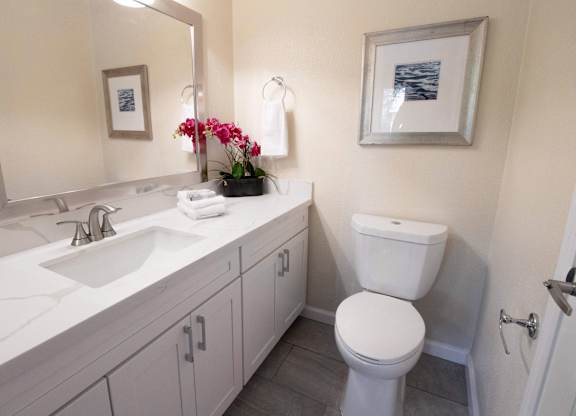 A white toilet sits next to a sink in a bathroom.