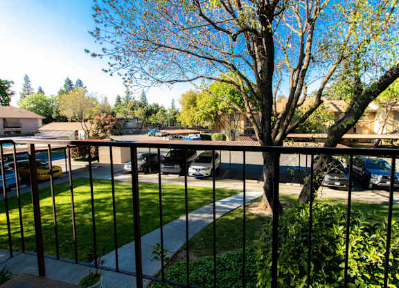 A tree is in the foreground of a residential area.