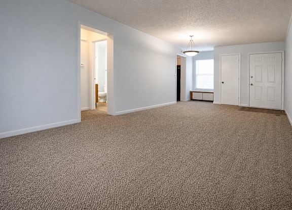 A room with a carpeted floor and a light hanging from the ceiling.