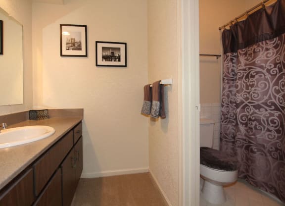 Furnished Bathroom at Willow Creek, Missouri, 64114