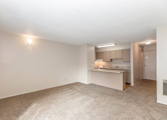 Full Studio View at Raintree Apartments, Topeka, KS, 66614