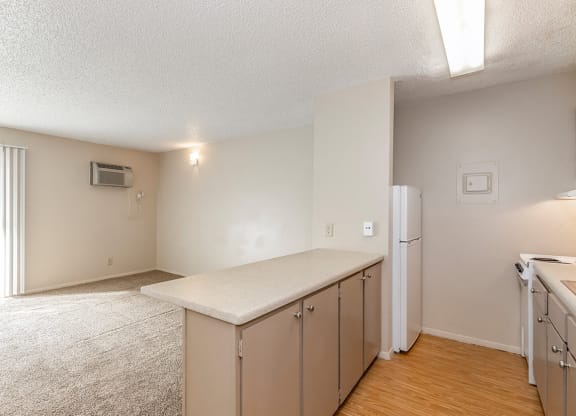 Studio Kitchen and Living Space at Raintree Apartments, Kansas, 66614