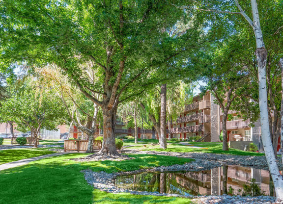 Pond and Pearl at Spring Creek Property