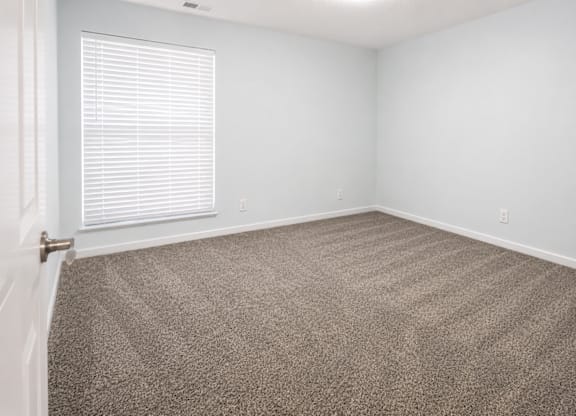 A room with a carpeted floor and a window with blinds.